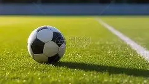 熊猫体育 产品 094237 qeq