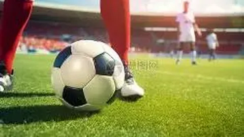 熊猫体育 产品 111250 ein