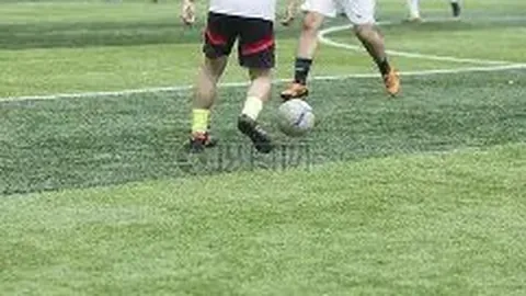 熊猫体育 资讯 111809 dt8