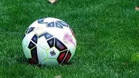 熊猫体育 资讯 112353 z27