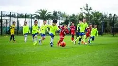 黄金岛消费平台