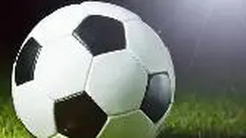 熊猫体育 产品 092733 wup