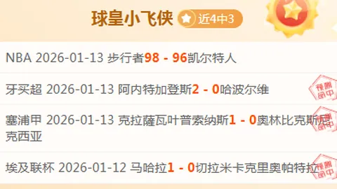意甲新星26岁巴西中场价值4000万欧，四强豪门竞相争抢！