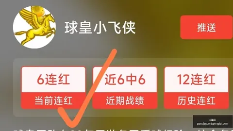 熊猫体育 093146 65