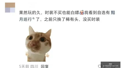 熊猫体育 094035